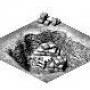 claypit.png